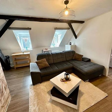Logement Entier Au Coeur De Straatsburg Buitenkant foto