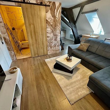 Logement Entier Au Coeur De Straatsburg Buitenkant foto