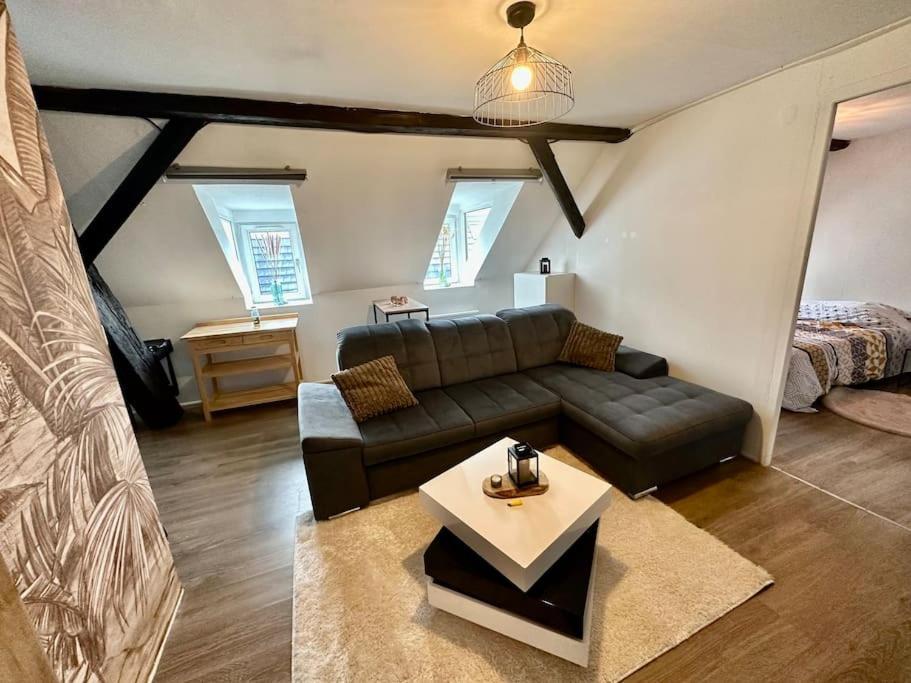 Logement Entier Au Coeur De Straatsburg Buitenkant foto