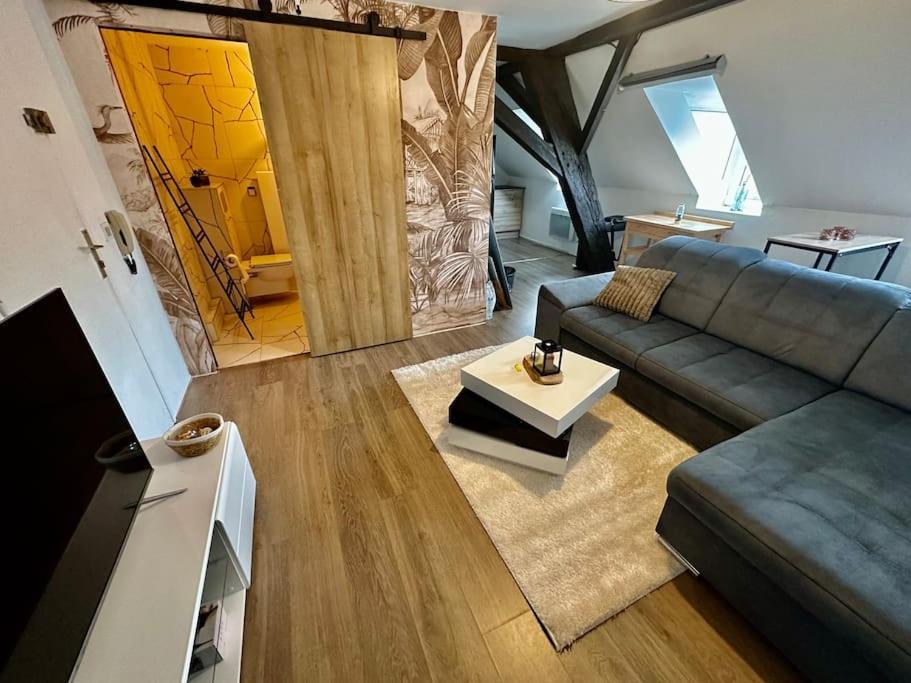 Logement Entier Au Coeur De Straatsburg Buitenkant foto